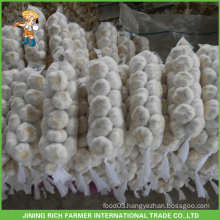 Normal White Garlic 20kg Mesh Bag